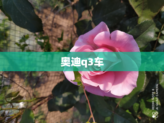 奥迪q3车