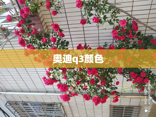 奥迪q3颜色