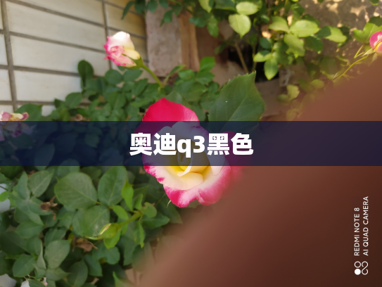 奥迪q3黑色