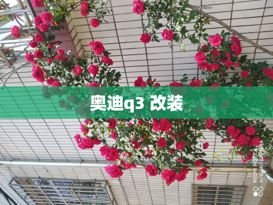 奥迪q3 改装