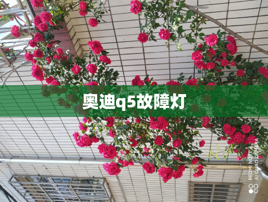 奥迪q5故障灯
