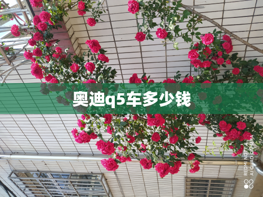 奥迪q5车多少钱