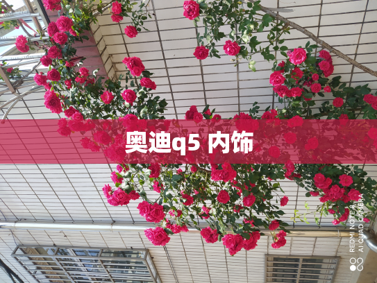 奥迪q5 内饰