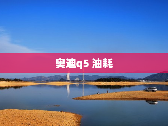 奥迪q5 油耗