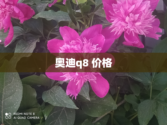 奥迪q8 价格
