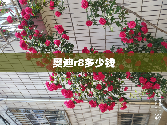 奥迪r8多少钱