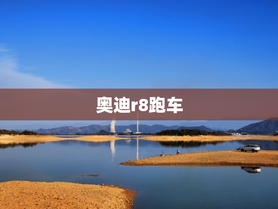 奥迪r8跑车