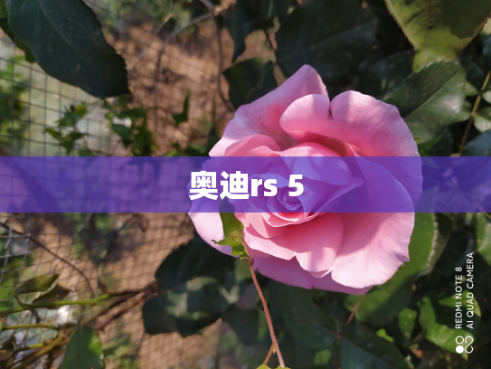 奥迪rs 5