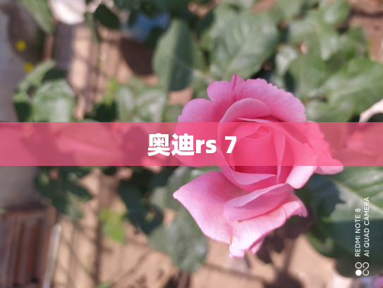 奥迪rs 7
