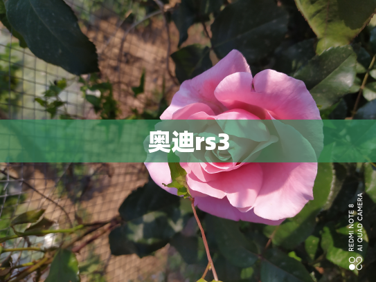 奥迪rs3