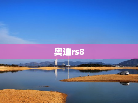 奥迪rs8