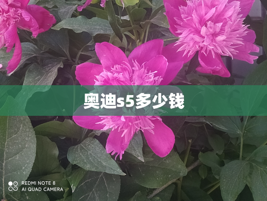 奥迪s5多少钱