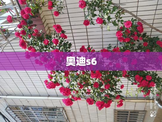 奥迪s6