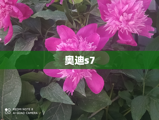 奥迪s7