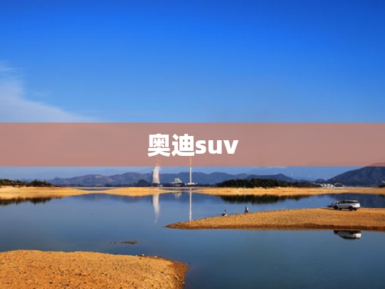 奥迪suv