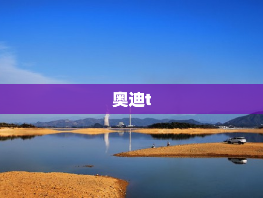 奥迪t