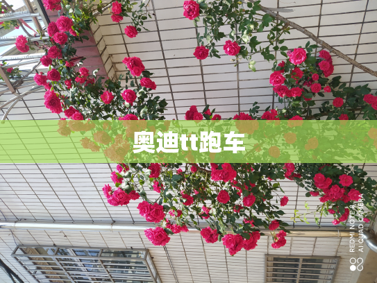 奥迪tt跑车