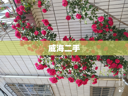 威海二手