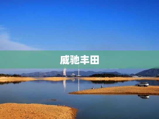 威驰丰田