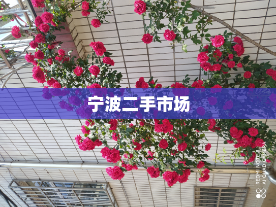 宁波二手市场
