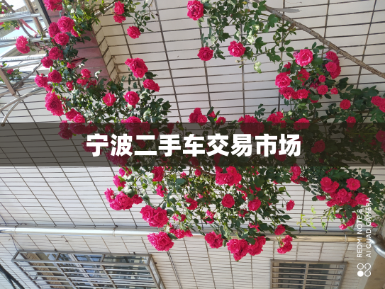 宁波二手车交易市场