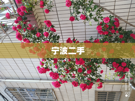 宁波二手