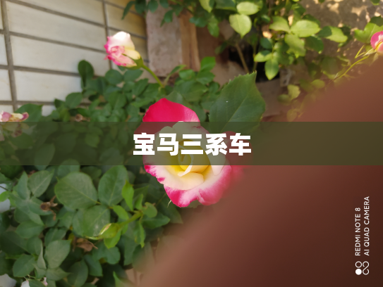 宝马三系车
