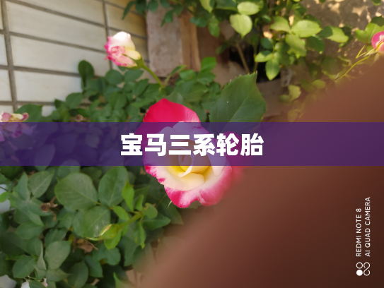 宝马三系轮胎
