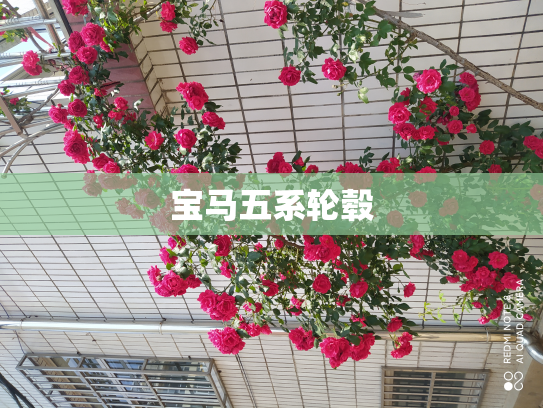 宝马五系轮毂
