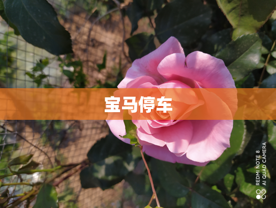 宝马停车