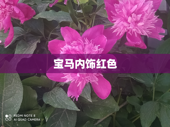 宝马内饰红色