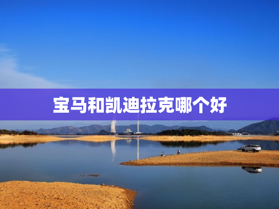 宝马和凯迪拉克哪个好