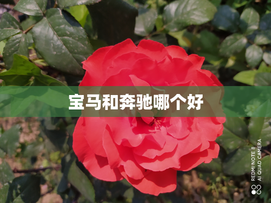 宝马和奔驰哪个好