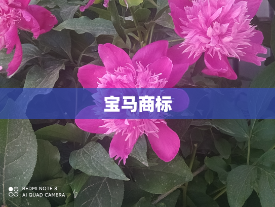 宝马商标