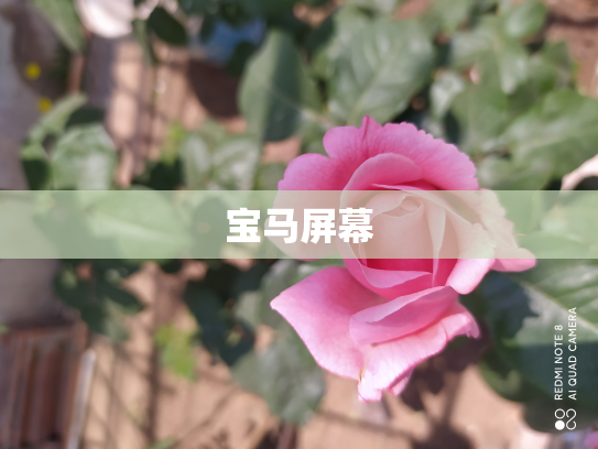 宝马屏幕