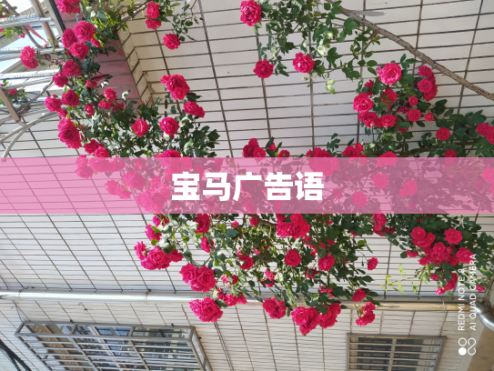 宝马广告语