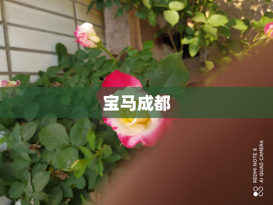 宝马成都