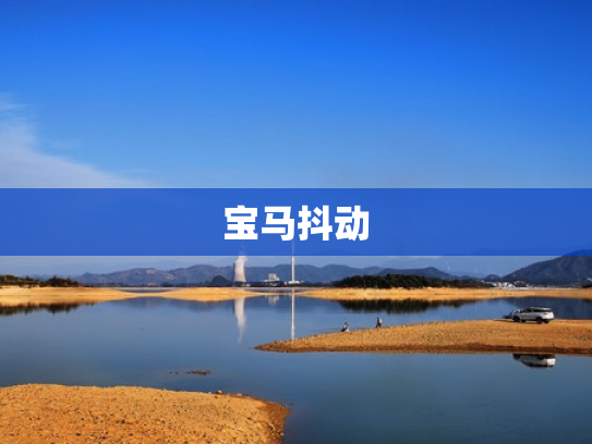 宝马抖动