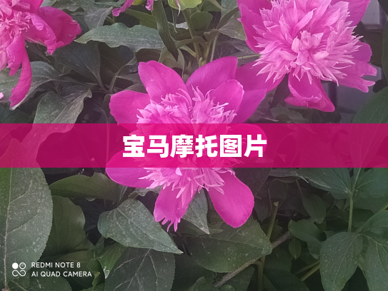 宝马摩托图片