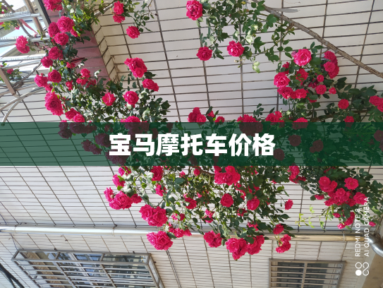 宝马摩托车价格