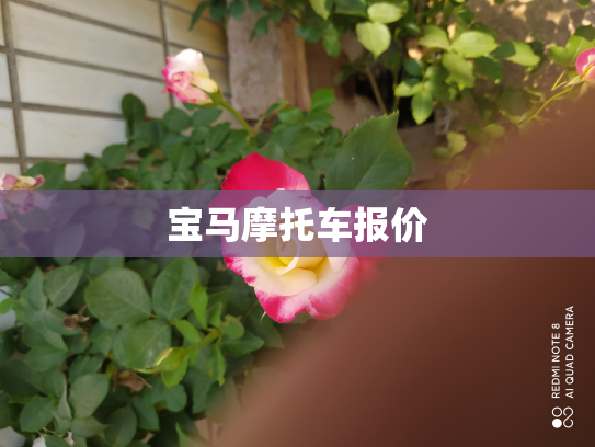 宝马摩托车报价