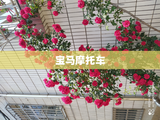 宝马摩托车