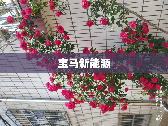 宝马新能源