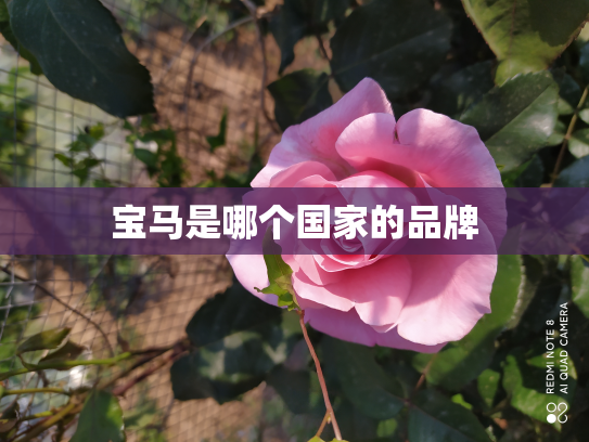 宝马是哪个国家的品牌