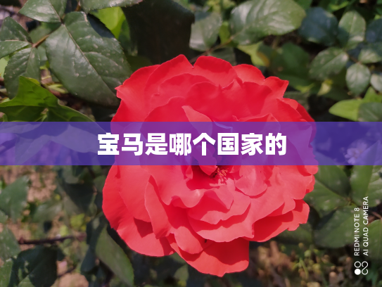 宝马是哪个国家的