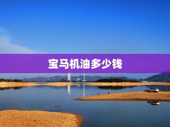 宝马机油多少钱