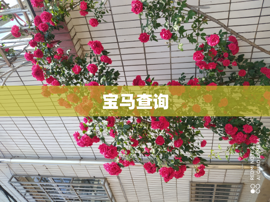 宝马查询