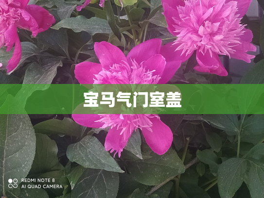 宝马气门室盖