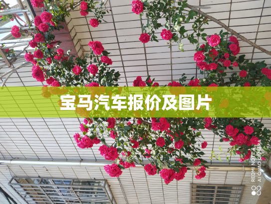 宝马汽车报价及图片