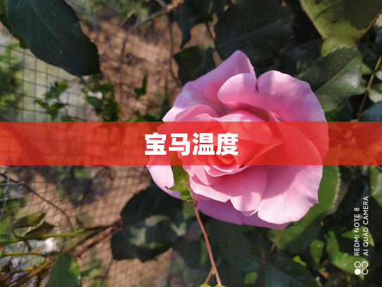 宝马温度